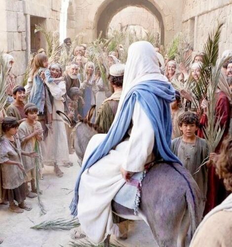 Dimanche de rameaux Site DLL 470x500