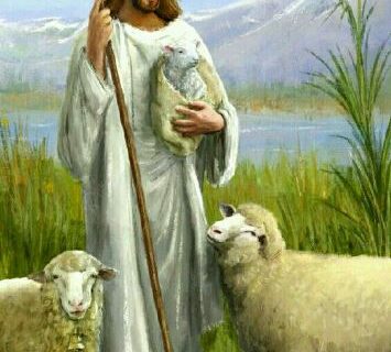 Dobry Pasterz 1 355x320